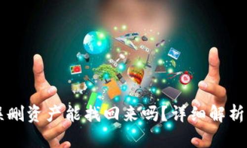 TPWallet误删资产能找回来吗？详细解析与解决方案