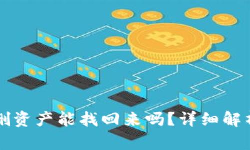 TPWallet误删资产能找回来吗？详细解析与解决方案