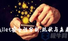 TPWallet安全性分析：现状与未来展望