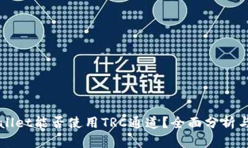 TPWallet能否使用TRC通道？全面分析与指南