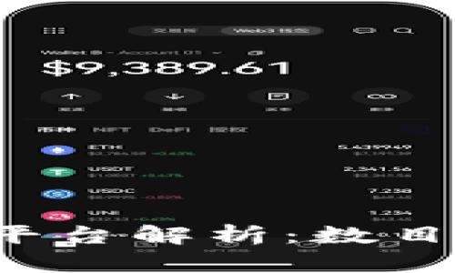 全球区块链支付平台解析：数目、特点及发展趋势