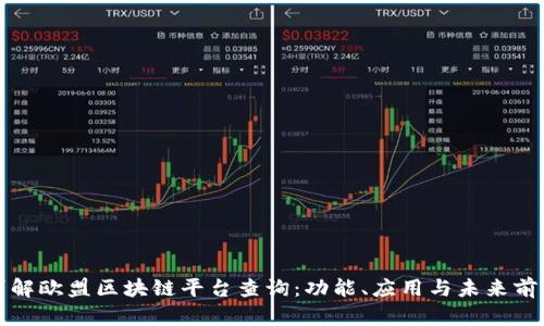 详解欧盟区块链平台查询：功能、应用与未来前景