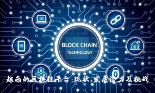 越南的区块链平台：现状、发展潜力及挑战