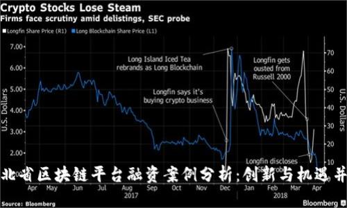 湖北省区块链平台融资案例分析：创新与机遇并存